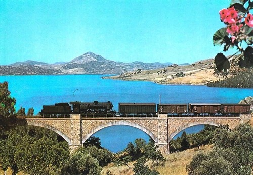 1960 rara cartolina regalbuto - 1960,